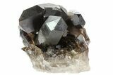 Dark Smoky Quartz Crystals - Brazil #80177-2